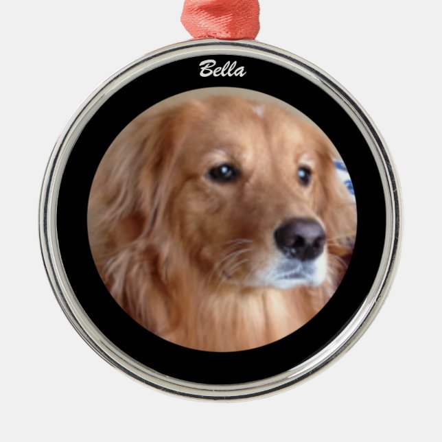 Ornement rond de golden retriever de Bella, (Devant)