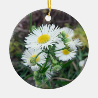 Ornement rond de la photo 2-Sided de Fleabane de