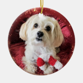 Ornement rond de Noël de chien de Morkie de sucre