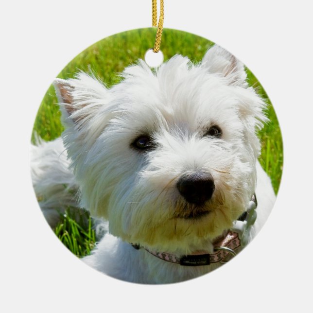 Ornement Rond En Céramique Abeille (Devant)