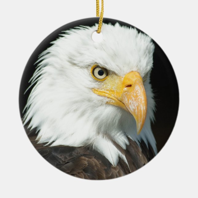 Ornement Rond En Céramique Aigle de Bald (Devant)