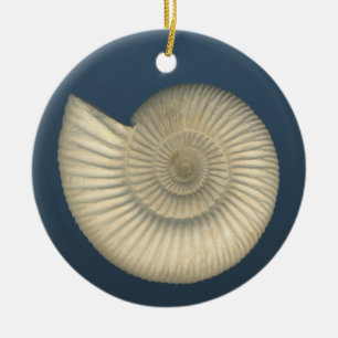 Ornement Rond En Céramique Ammonite de Perisphinctes