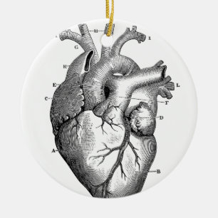 Ornement Rond En Céramique Anatomie cardiaque vintage Personnalisable