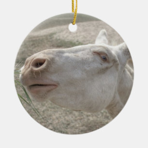 Ornement Rond En Céramique Âne blanc autrichien-hongrois