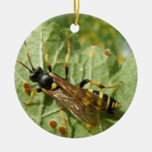 Ornement Rond En Céramique Anniversaire personnalisé de Hoverfly