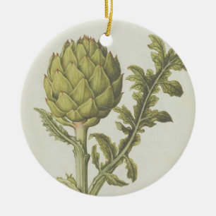 Ornement Rond En Céramique Artichaut : Scolymus de Cynara, c.1568