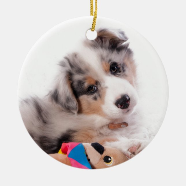 Ornement Rond En Céramique Australian shepherd puppy (Devant)