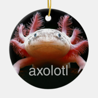 Ornement Rond En Céramique Axolotl d'Axolotl d'Axolotl d'Axolotl