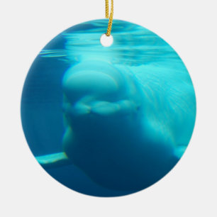 Ornement Rond En Céramique Baleine sous-marine de beluga