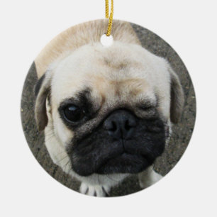 Ornement Rond En Céramique Bauwk ... Chien carlin ... Thaïlande