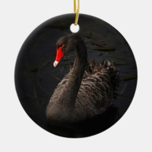 Ornement Rond En Céramique Beau cygne noir avec un bec rouge vif