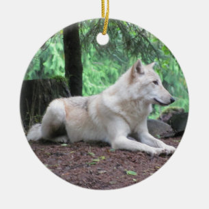 Ornement Rond En Céramique Beau loup blanc
