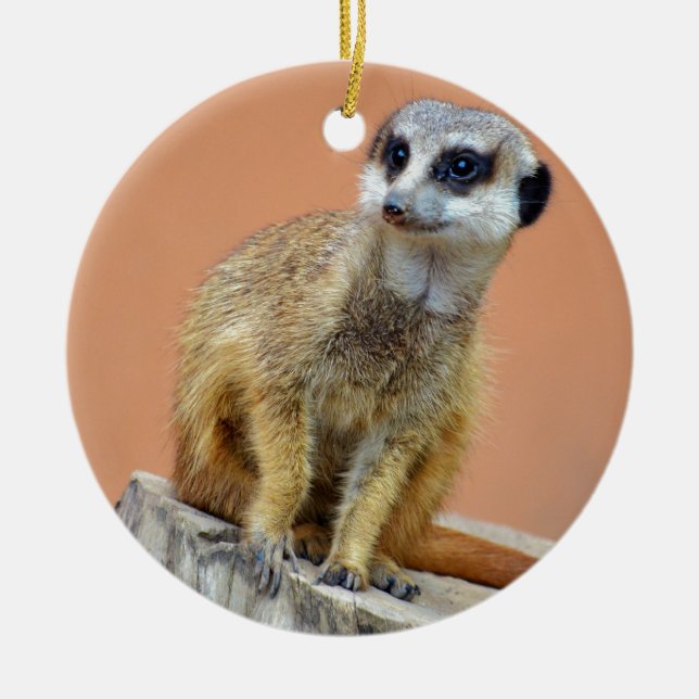 Ornement Rond En Céramique Beau meerkat (Devant)