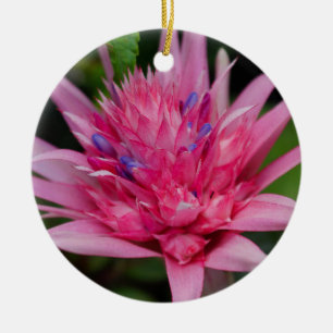 Ornement Rond En Céramique Beauté rose