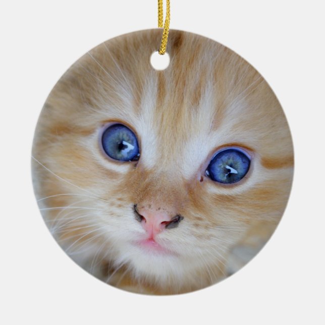 Ornement Rond En Céramique Belle Tabby Kitten Orange (Devant)