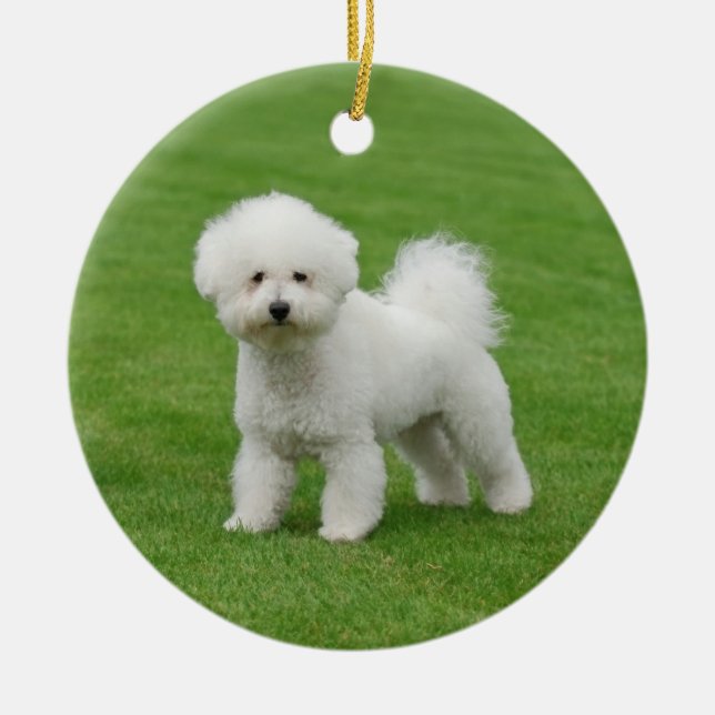 Ornement Rond En Céramique Bichon Frise (Devant)