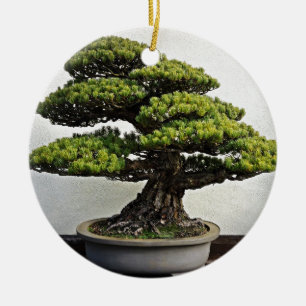 Ornement Rond En Céramique Bonsaïs de White Pine de Japonais