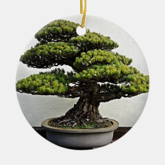 Ornement Rond En Céramique Bonsaïs de White Pine de Japonais (Devant)