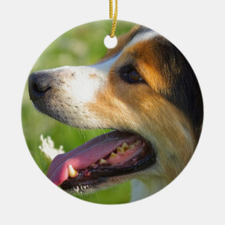 Ornement Rond En Céramique Border collie