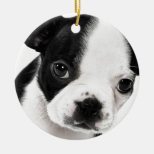 Ornement Rond En Céramique Boston Terrier