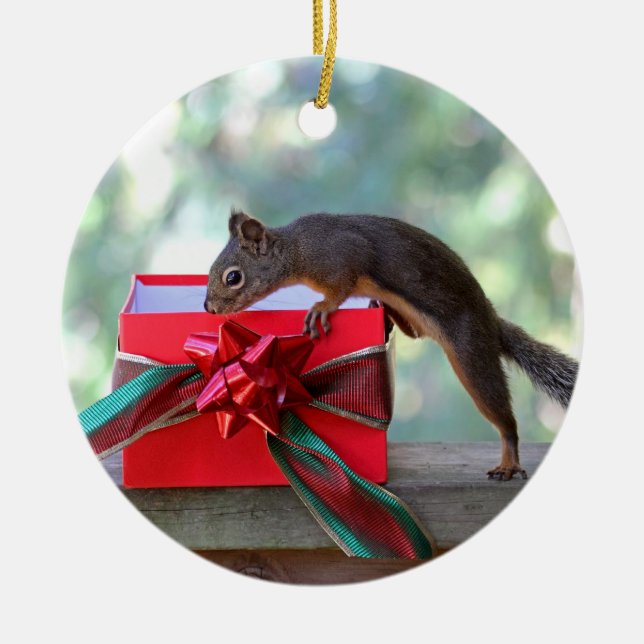 Ornement Rond En Céramique Cadeau de Noël d'ouverture d'écureuil (Devant)
