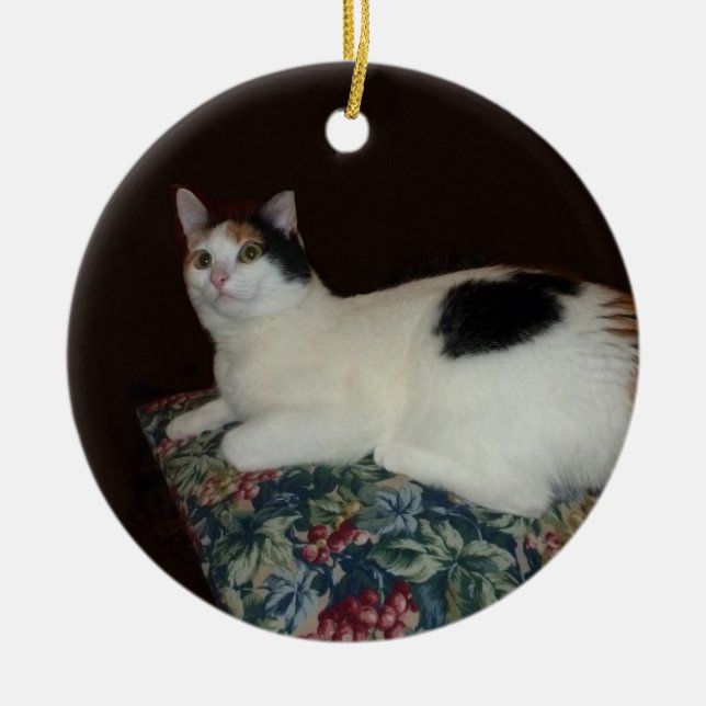Ornement Rond En Céramique Calico Cat (Devant)