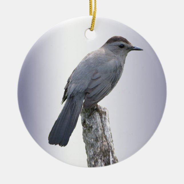 Ornement Rond En Céramique Catbird (Devant)