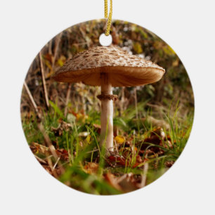 Ornement Rond En Céramique Champignon sauvage
