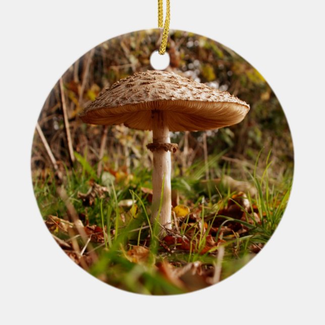 Ornement Rond En Céramique Champignon sauvage (Devant)
