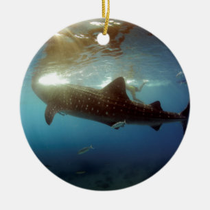 Ornement Rond En Céramique Chasse à la baleine