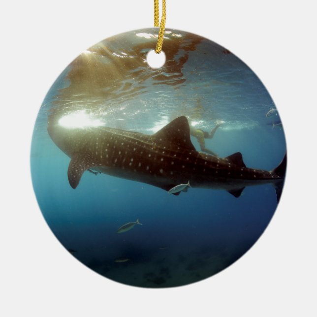 Ornement Rond En Céramique Chasse à la baleine (Devant)