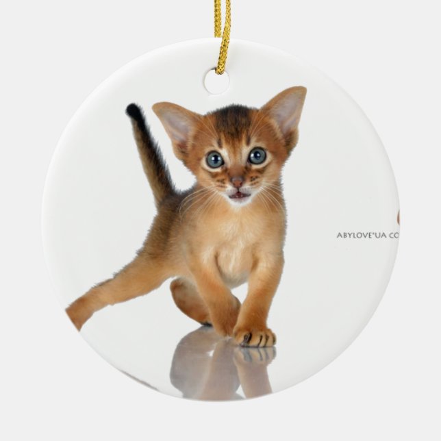 Ornement Rond En Céramique Chat abyssinien (Devant)