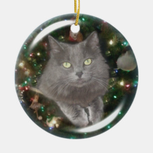 Ornement Rond En Céramique Chat de gris de Smokey