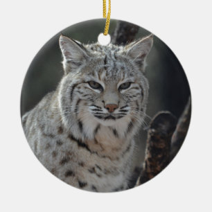 Ornement Rond En Céramique Chat sauvage de rampement