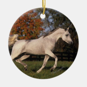 Ornement Rond En Céramique Cheval arabe : Automne 2