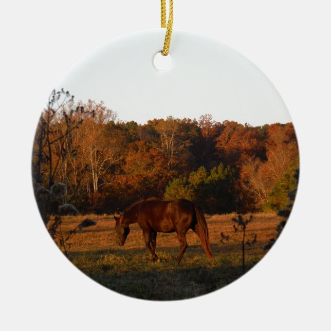Ornement Rond En Céramique Cheval Brown rouge, bois d'automne. (Devant)