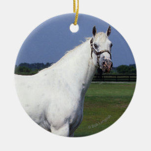Ornement Rond En Céramique Cheval d'Appaloosa