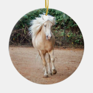 Ornement Rond En Céramique Cheval de palomino