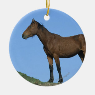Ornement Rond En Céramique Cheval sauvage de mustang