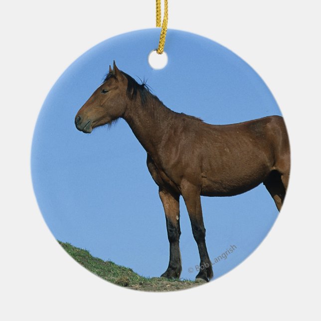Ornement Rond En Céramique Cheval sauvage de mustang (Devant)