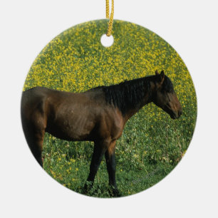 Ornement Rond En Céramique Cheval sauvage Mustang debout en fleurs