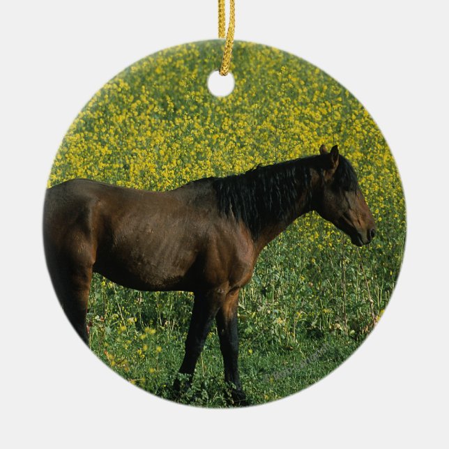 Ornement Rond En Céramique Cheval sauvage Mustang debout en fleurs (Devant)