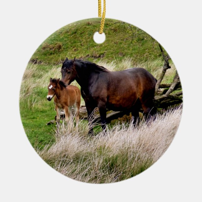 ORNEMENT ROND EN CÉRAMIQUE CHEVAUX (Devant)