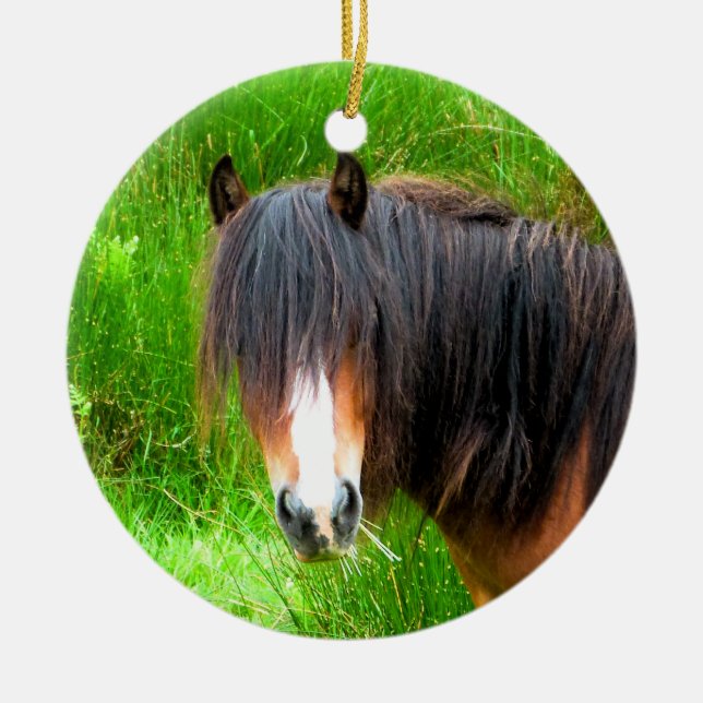 ORNEMENT ROND EN CÉRAMIQUE CHEVAUX (Devant)
