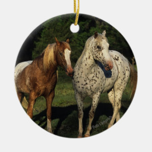 Ornement Rond En Céramique Chevaux d'Appaloosa