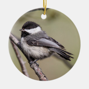Ornement Rond En Céramique Chickadee Noir-couvert