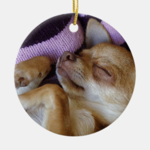 Ornement Rond En Céramique Chihuahua Chiuppy