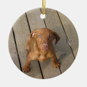 Ornement Rond En Céramique chiot de vizsla