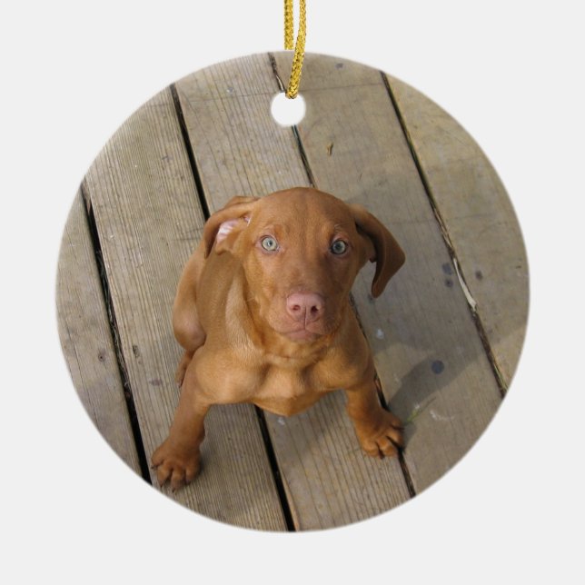 Ornement Rond En Céramique chiot de vizsla (Devant)