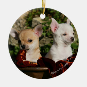 Ornement Rond En Céramique Chiots de chiwawa